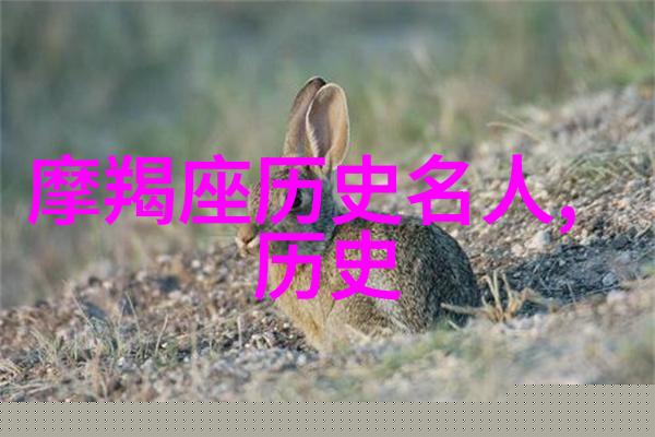 韩彦直