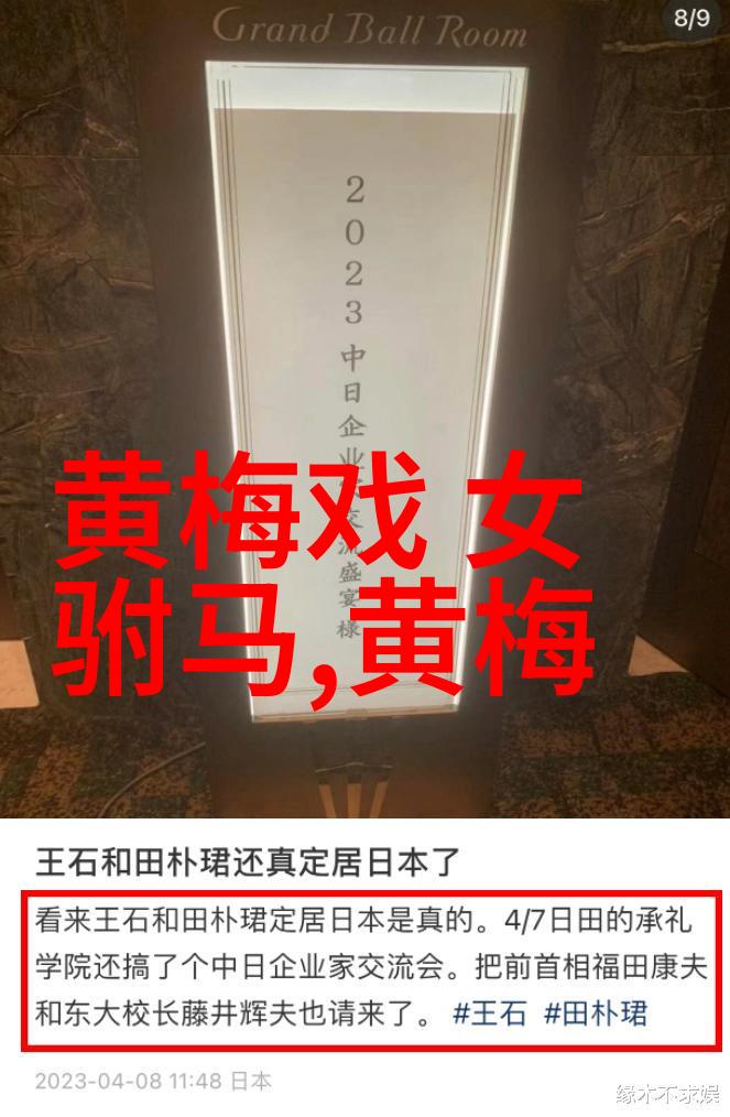 王冠亚 黄梅戏剧作者 王冠亚